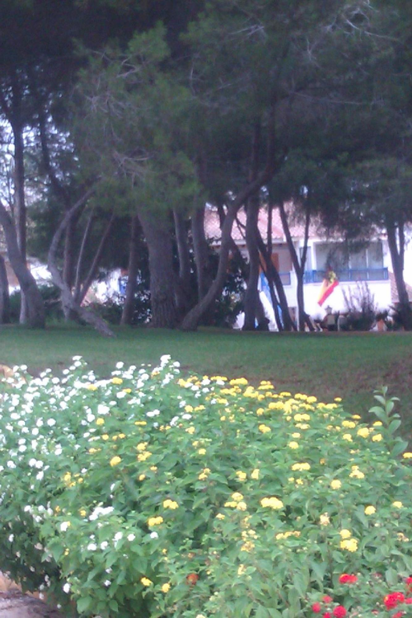 Chalet Adosado En Riomar-3, Urbanizacion Residencial Privada Torre de la Horadada 外观 照片